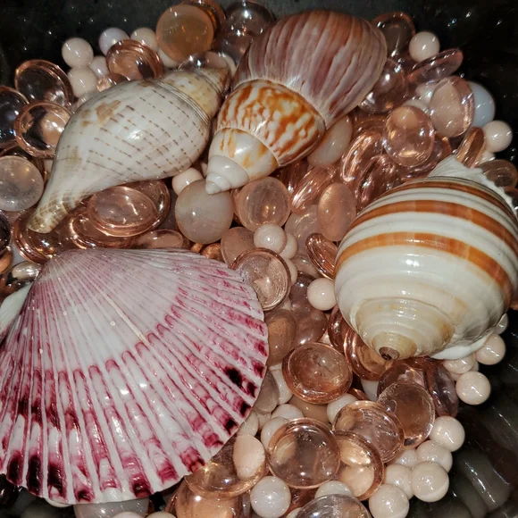 1qt Glass Pearls, Pink Irredescent Glass & Pink Cabachons, 4 shells🐚(3lbs 13oz) - Picture 5 of 6